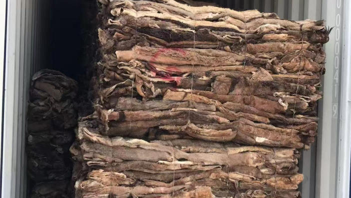 【洋川供应链】 驴皮进口清关专家 | 海关AEO认证 | 合规合法通关